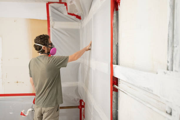 Best Residential Mold Inspection & Testing  in Shell Rock, IA