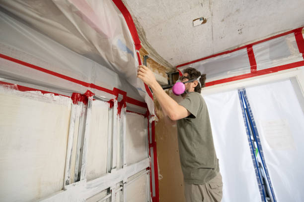 Best Air Quality Testing for Mold Spores  in Shell Rock, IA